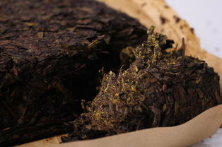 安化茯砖黑茶品种,黑茶都有什么品种？哪好好？推荐一下吧