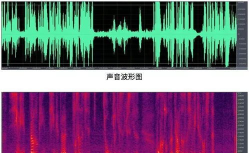 暗区突围声纹机机制是什么 声纹机制介绍(暗区突围攀爬有声纹)