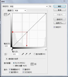 ps中曲线命令的横纵坐标分别表示什么？