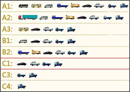 c1准驾车型一览图（C1准驾车型你真的了解吗）-图3