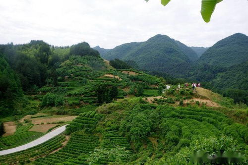 初夏拍照打卡地 汉中这座小城的美景你一定不能错过