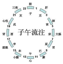 我们现在二十四小时,用古代计时法只有十二个时辰,分别叫什么 