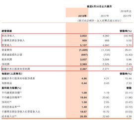 农行A股 网上怎么申购？