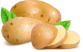 土豆为什么叫土豆
