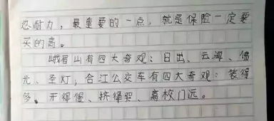 关于小黄车的作文300字