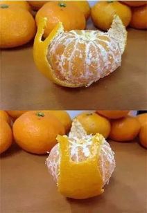 关于橘子的诗句拼盘