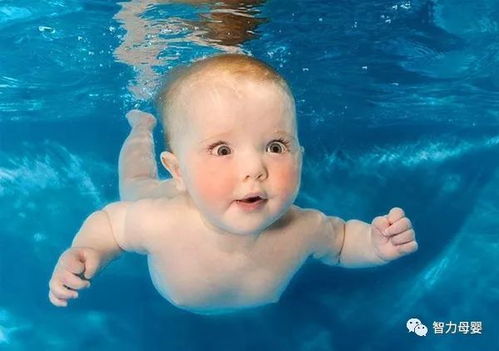 婴儿游泳益处多 你家宝贝爱游泳吗 