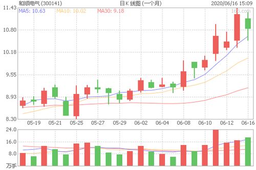 个股 和顺电气(300141)这只股票行情怎么样啊？
