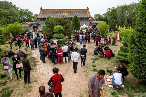 河南庙会算命摊位扎堆 算命 花样百出 