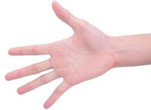 手相感情线分叉代表什么感情线分叉有什么含义(手掌感情线后面分叉什么意思)