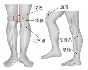 入伍体检膝内翻股骨内髁间距离到底是测量哪里 是膝盖所在骨头那之间,还是膝盖下面凹陷,间距较大那段 