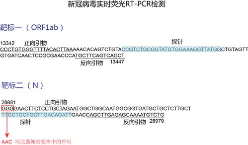 万方查重无效？尝试这些步骤来解决问题