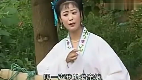 河南豫剧女儿哭爹