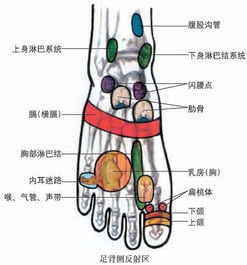 人体常用穴位按摩保健方法 动画图解 华夏福康 医技分享 