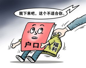 北京教育改革又出新政策了 
