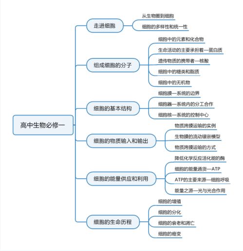 框架图用思维导图软件怎么画