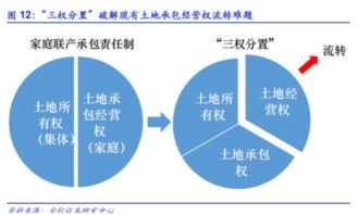 小榄镇农村股份合作制股权如何分红