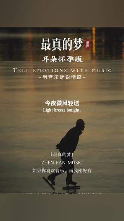 励志的歌曲感受-歌曲最真的梦表达了什么意思？