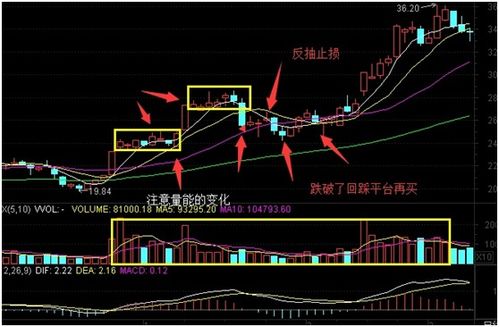 股票中的回调说是主力的洗盘行为，请问商品期货中的回调那是什么性质?