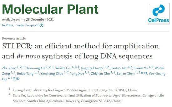 基因组DNA一般稀释多少倍用于PCR?