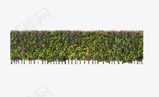 鲜花绿植围墙素材图片免费下载 高清效果元素png 千库网 图片编号5947518 