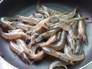 舌尖上的活海虾19.99元 500g 