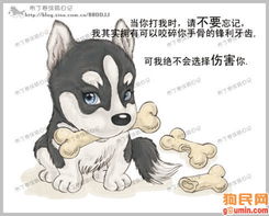 让爱犬聪明乖巧,快乐训犬跟我学