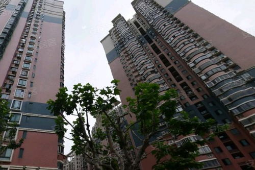 香港丽园优点 不足,香港丽园怎么样,香港丽园周边房产中介经纪人评价 