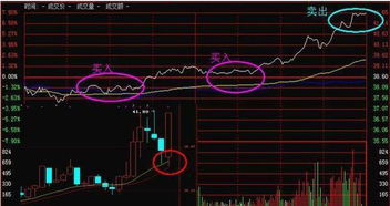 个股下跌走势中，昨日建仓，今天做T+0需要全部卖出上一个交易日的股票数吗？