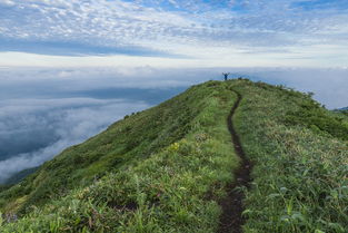 蓝田县免费旅游景点