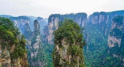 张家界旅游,推荐十大最值得去的地方,其中还有免费的景点