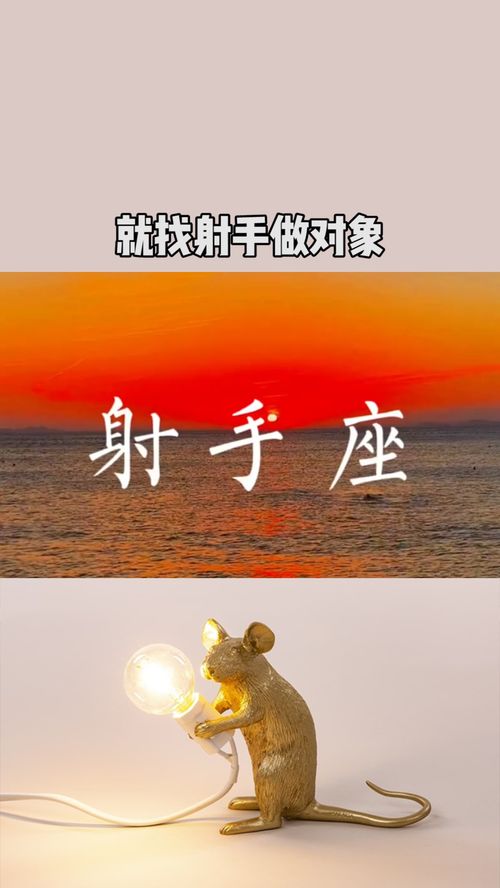 陶白白说,谈恋爱就找射手做对象 