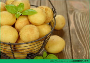 土豆的营养价值与食用功效，土豆的营养价值和功效作用