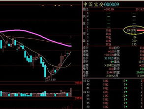 方大开盘涨停怎么又打开了？后市如何？谢谢赐教！