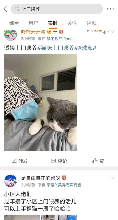 拼了一年的 打工人 ,花3000元让猫狗就地过年