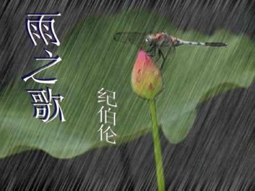 “我哭，山河却在欢乐”，这是为什么