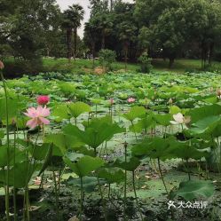 电话,地址,价格,营业时间 南京周边游 