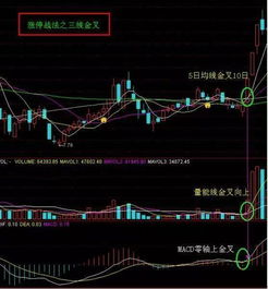 谁能解释一下路雷先生的“闯三关理论”和“技术分析五步选股法” 请尽量详细。