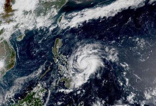 预警 最强13级 首个台风黄蜂杀来袭 最凶暴雨或袭击两广福建地区,养殖户注意了