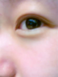 哪位高人能判断一下这眼睛是啥类型的 桃花眼,丹凤眼 或者其他我叫不出名字的 