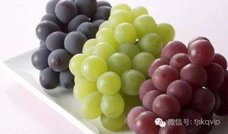 吃葡萄的季节 葡萄几月份吃是正季
