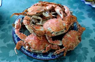 放弃高薪卖螃蟹 预计到年底能突破1000万元