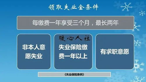 单位能不能只交养老保险(入职只缴纳养老保险费)