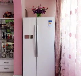 小户型装修冰箱别再放厨房里了,放在这些位置美观实用又省地方 