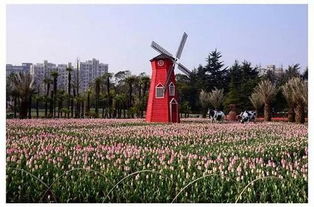 太子湾免费停车场,杭州太子湾郁金香花展时间-观光地-交通指南