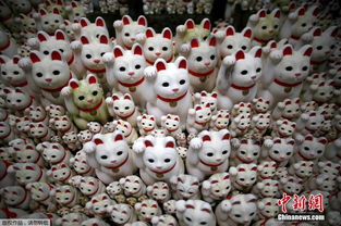 日本寺庙被招财猫 占领 密密麻麻遍布角落 