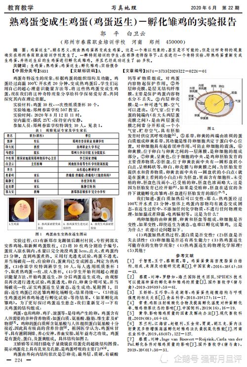 属兔者如何高效进行论文查重