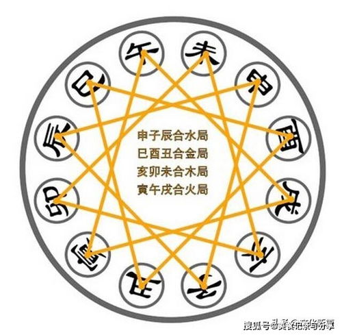 十二地支 是什么,它们的排序中,其实暗含玄机