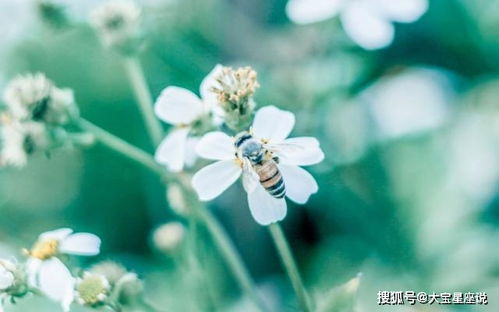 3月5号后,情意悠悠,3星座将与旧爱缠绵,深情仍在,将情定今生