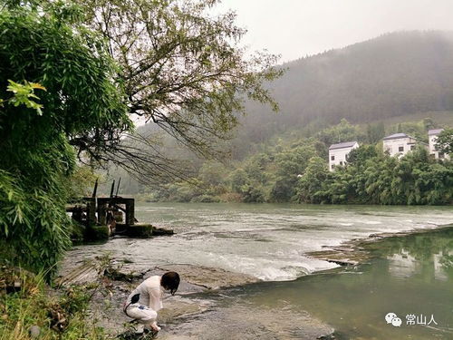 开化音坑,根博园一日游 